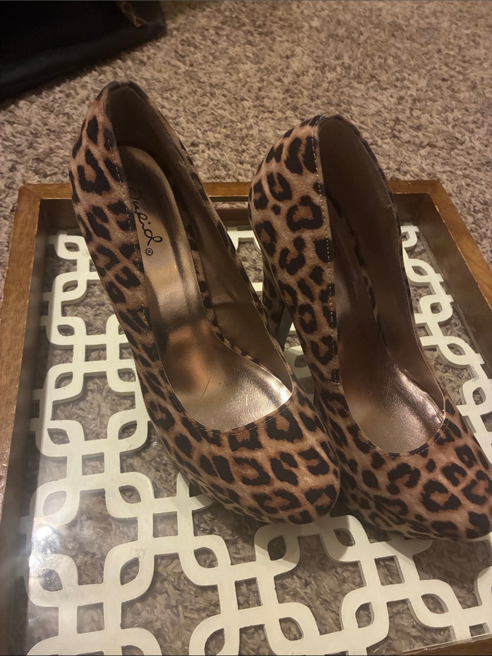 Qupid Leopard Print Platform Pumps in Brown and Black